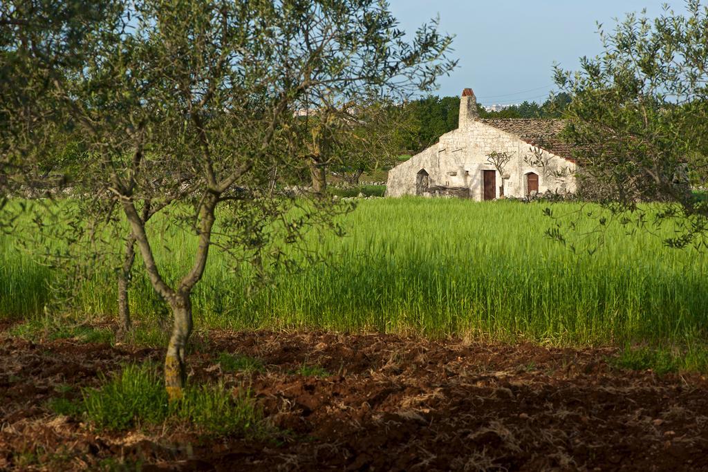 Masseria Ciavea جويا ديل كولي المظهر الخارجي الصورة