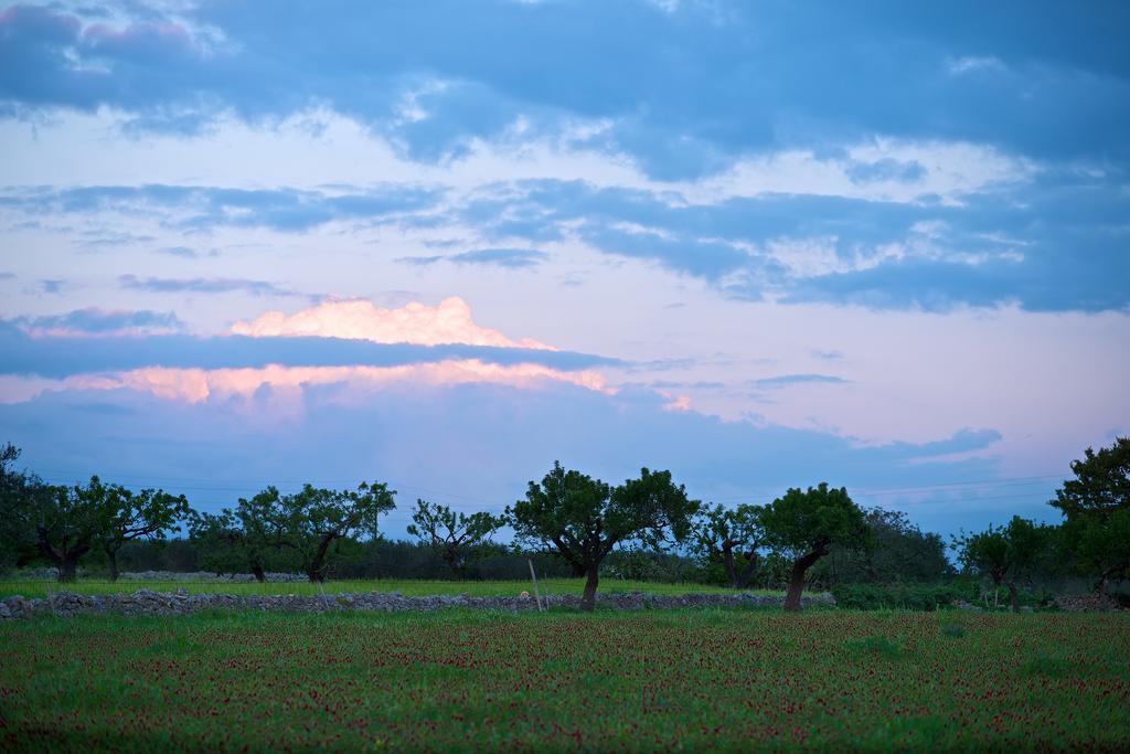 Masseria Ciavea جويا ديل كولي المظهر الخارجي الصورة